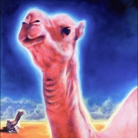 Camel Glow