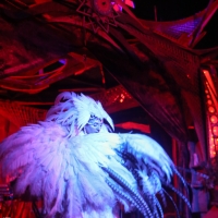 Ka_Amorastreya_Symbiosis_2013_Liberation_Movement_Serpentfeathers_1