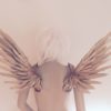Icarus Wings - Image 5