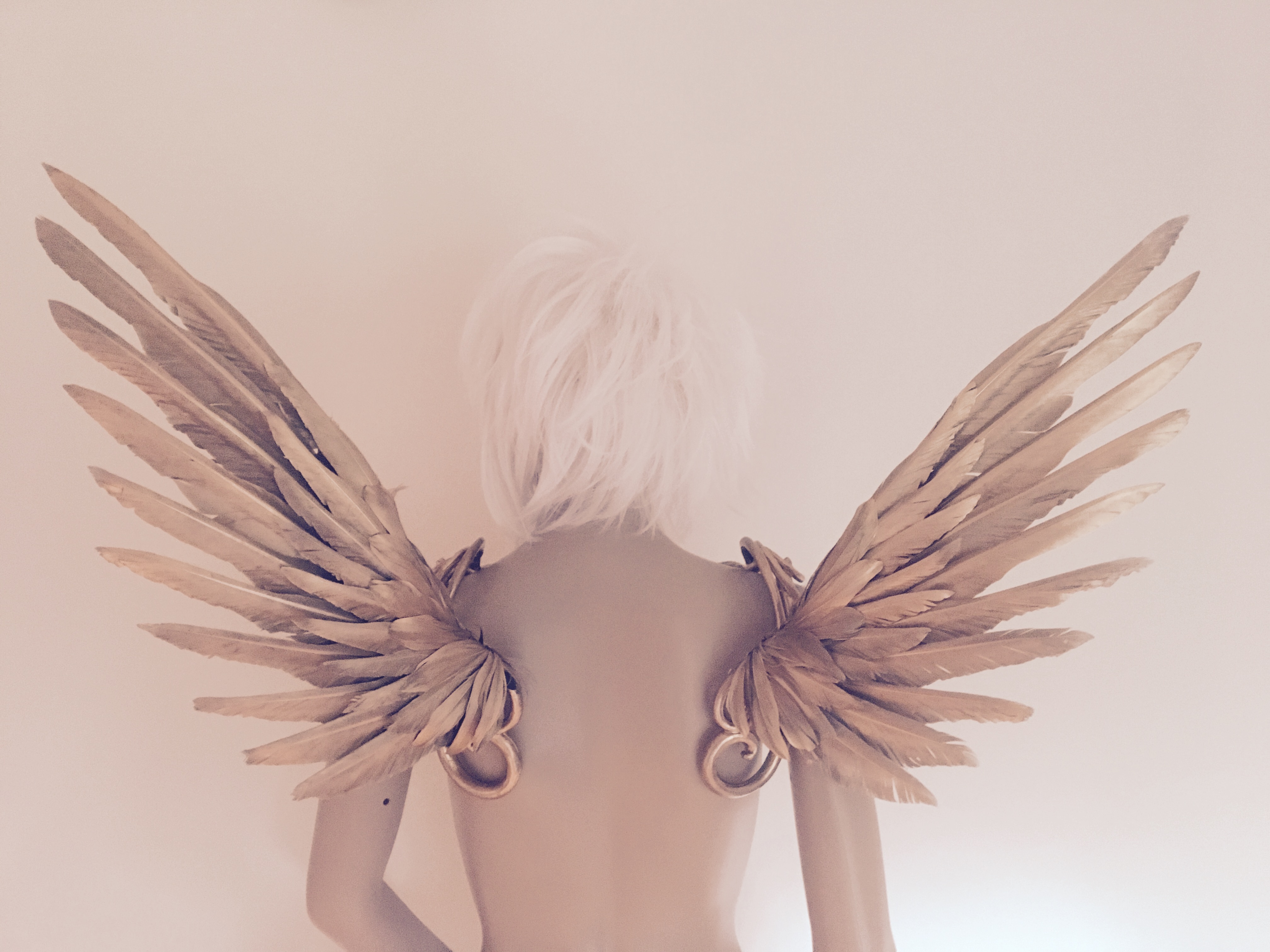 Icarus wings | protnogemerd1979