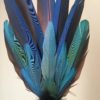Solar Flight - Macaw Feather & Fringe Smudge Fan SOLD - Image 4
