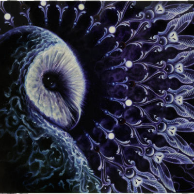 She_sees_all* She_sees_all*