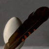 SOLD : Swan Egg and Black Cockatoo Feather - Original painting on panel - 8 x 10 " - Image 3